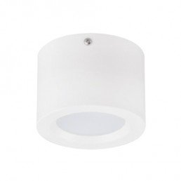 Светильник накладной LED 5W 4200K 350Lm 185-264V d-105мм h-75мм белый круг.
